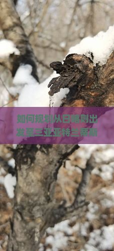 如何规划从日喀则出发至三亚亚特兰蒂斯水世界的二日游行程? 如何规划从日喀则出发至三亚亚特兰蒂斯水世界的二日游行程?