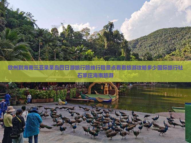 钦州到海南三亚呆呆岛四日游旅行路线行程景点看看旅游攻略多少国际旅行社石家庄海南旅游