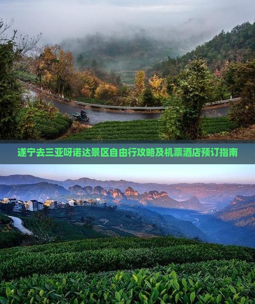 遂宁去三亚呀诺达景区自由行攻略及机票酒店预订指南
