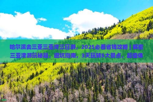 哈尔滨去三亚三亚湾三日游