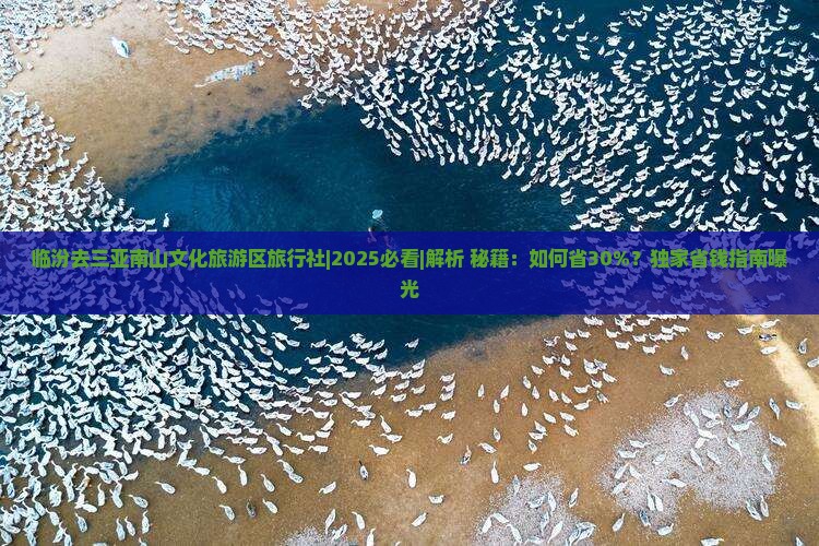 临汾去三亚南山文化旅游区旅行社