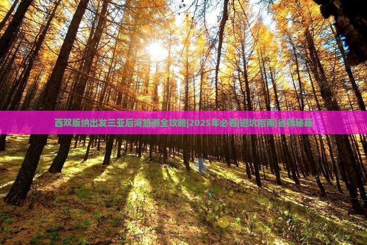西双版纳出发三亚后海旅游