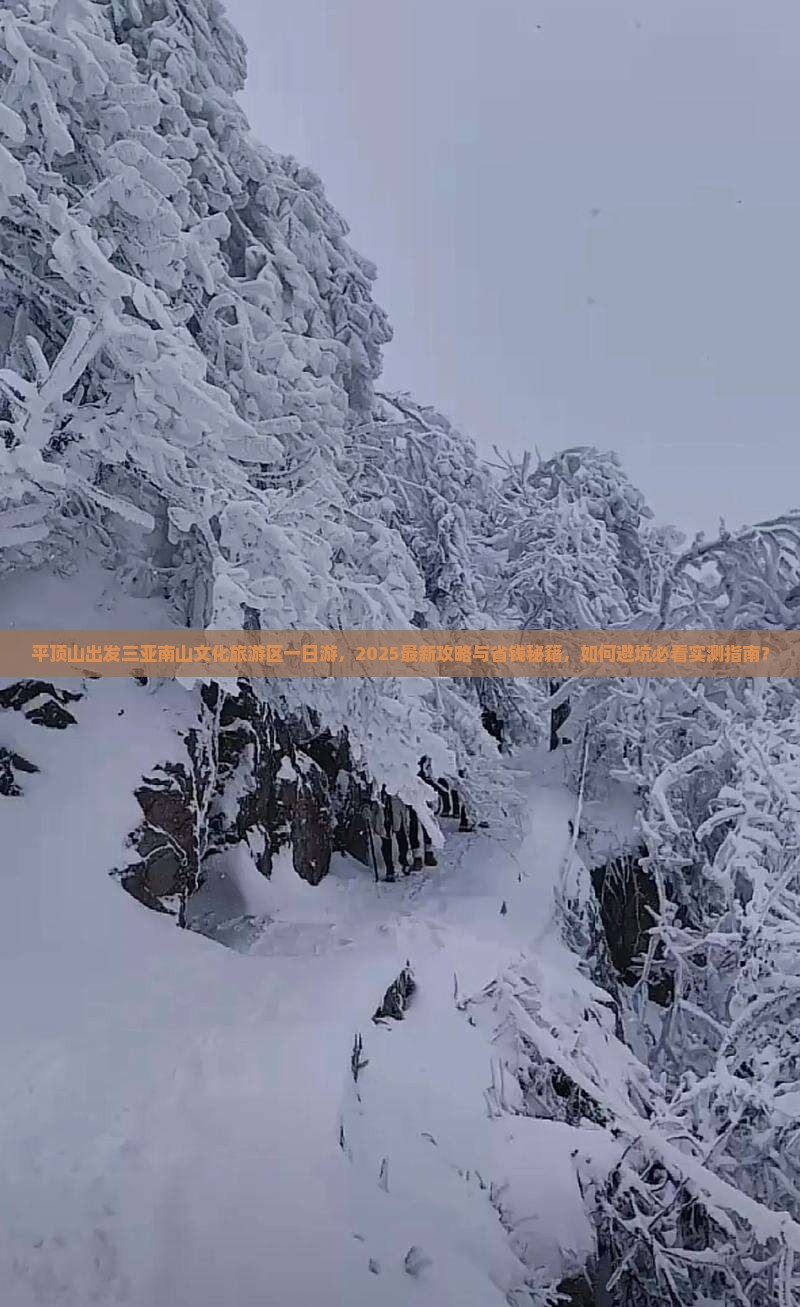 平顶山出发三亚南山文化旅游区一日游 平顶山出发三亚南山文化旅游区一日游