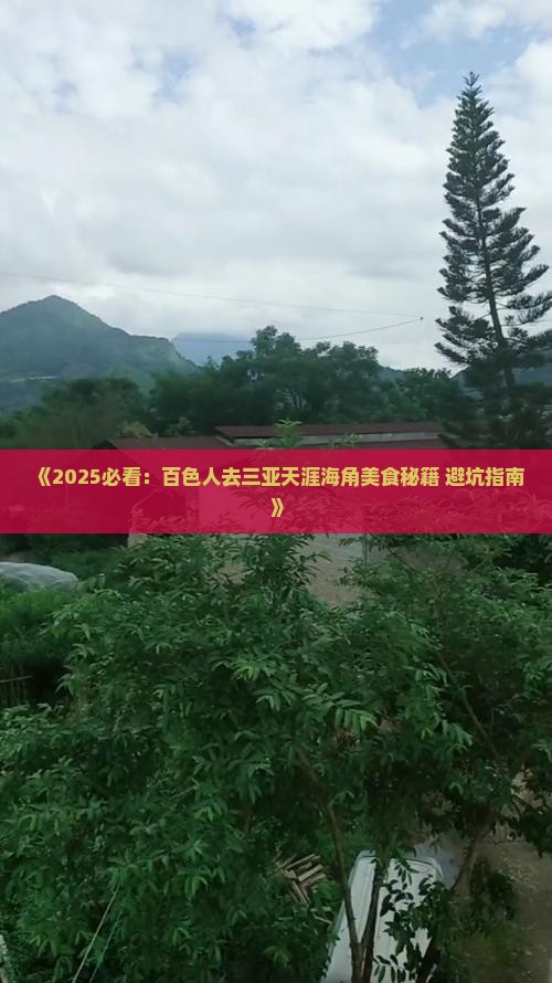 百色前往三亚天涯海角旅游小吃