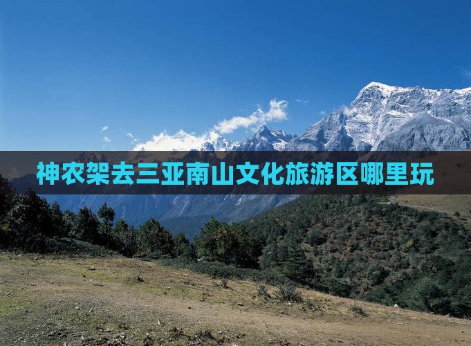 神农架去三亚南山文化旅游区哪里玩