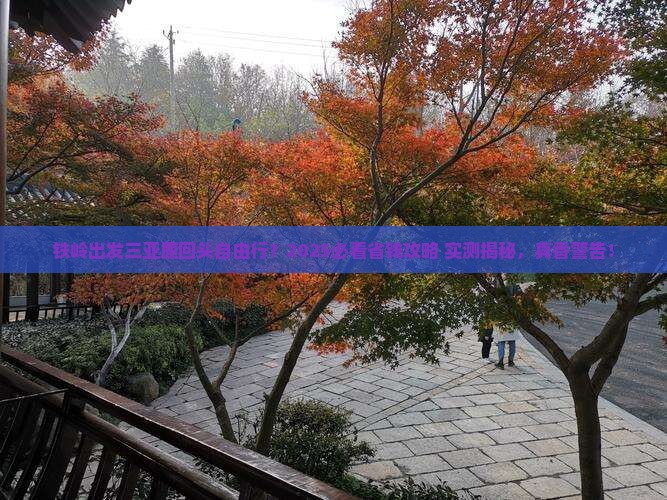 铁岭出发三亚鹿回头自由行