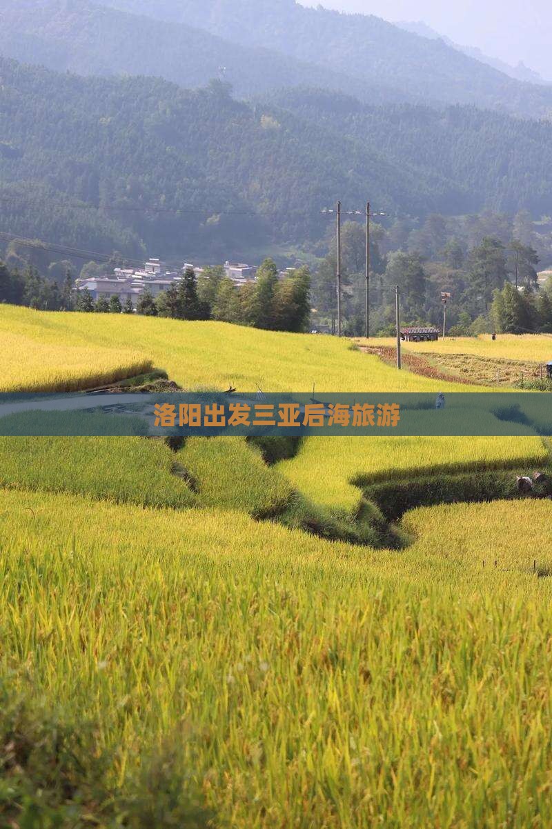 洛阳出发三亚后海旅游