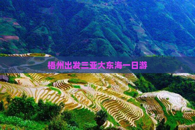 梧州出发三亚大东海一日游