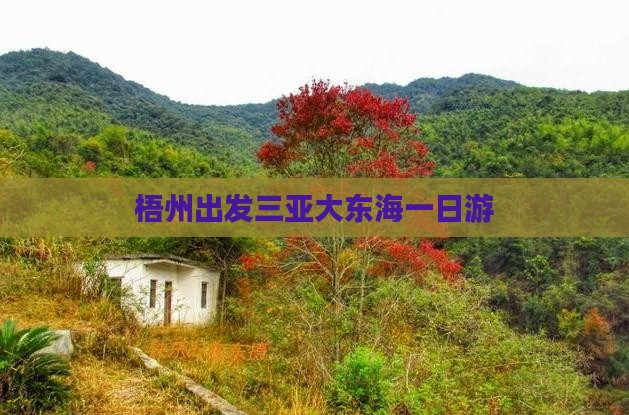 梧州出发三亚大东海一日游