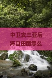 中卫去三亚后海自由团