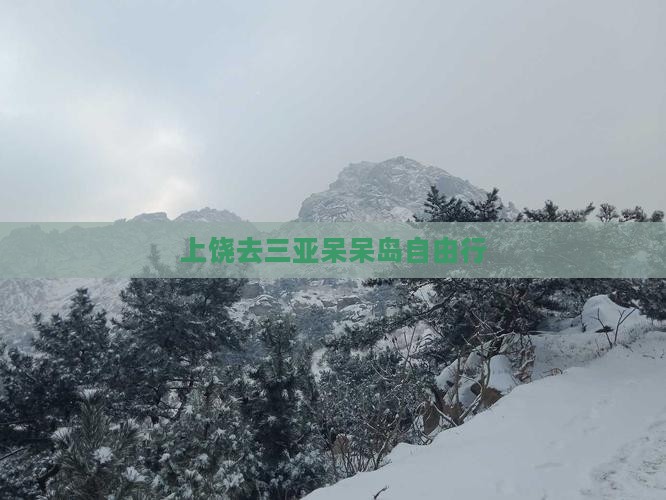 上饶去三亚呆呆岛自由行 上饶去三亚呆呆岛自由行