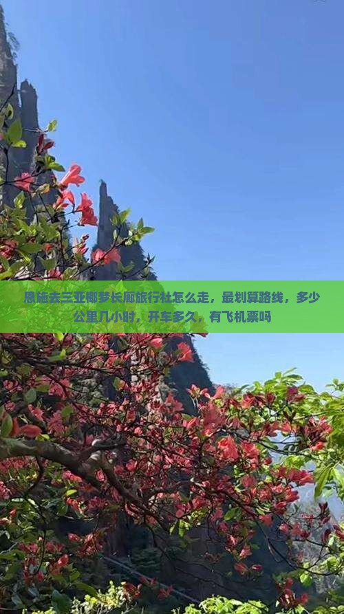 恩施去三亚椰梦长廊旅行社