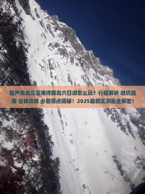 葫芦岛前往三亚南湾猴岛六日游 葫芦岛前往三亚南湾猴岛六日游