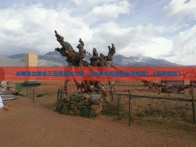 商洛出发三亚凤凰岭公园旅游小吃 商洛出发三亚凤凰岭公园旅游小吃