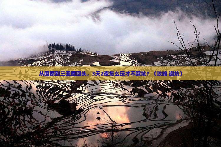 固原前往三亚鹿回头自由团