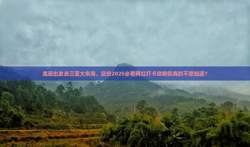 龙岩去三亚大东海旅游网红地点