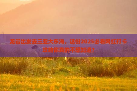 龙岩去三亚大东海旅游网红地点
