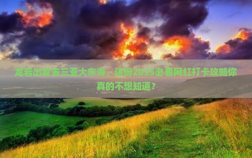 龙岩去三亚大东海旅游网红地点