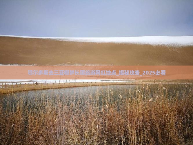 鄂尔多斯去三亚椰梦长廊旅游网红地点