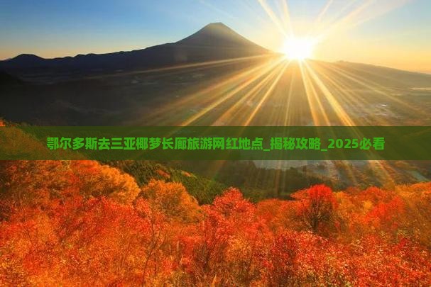 鄂尔多斯去三亚椰梦长廊旅游网红地点