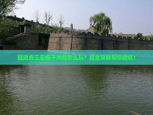 延边去三亚椰子洲岛旅行社