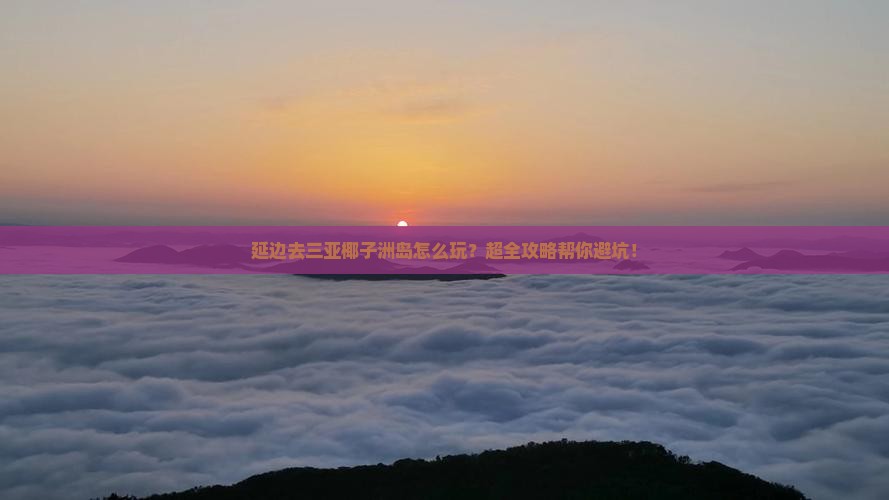 延边去三亚椰子洲岛旅行社