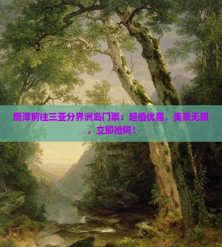 鹰潭前往三亚分界洲岛门票