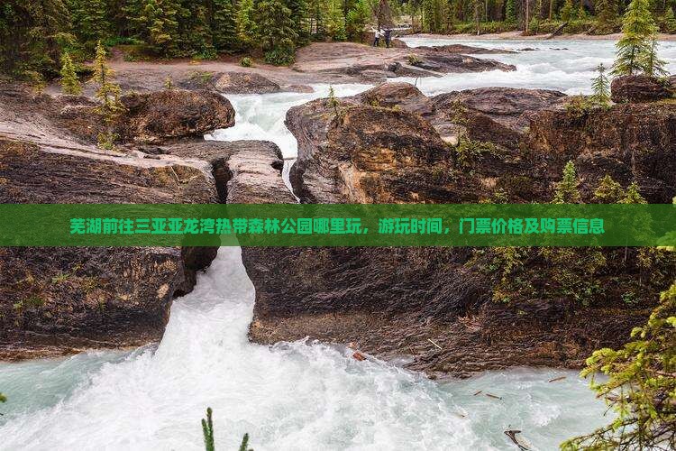 芜湖前往三亚亚龙湾热带森林公园哪里玩 芜湖前往三亚亚龙湾热带森林公园哪里玩