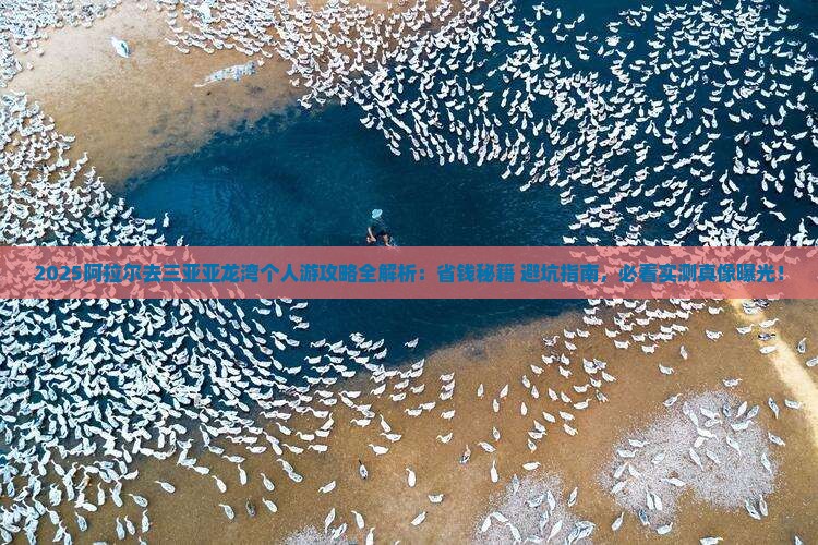 阿拉尔前往三亚亚龙湾个人游