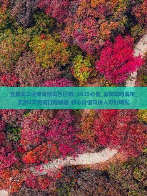 宜昌去三亚南湾猴岛四日游