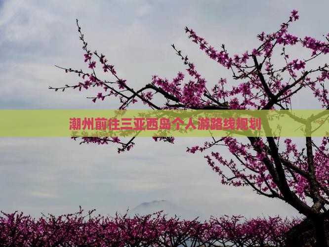 潮州前往三亚西岛个人游