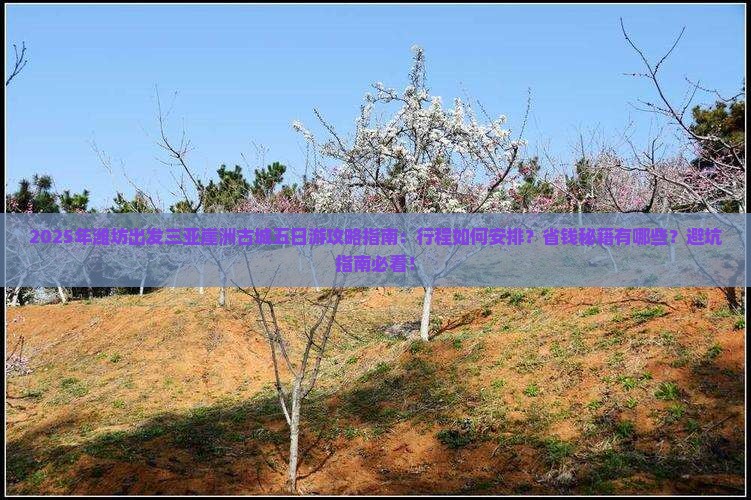 潍坊出发三亚崖洲古城五日游 潍坊出发三亚崖洲古城五日游