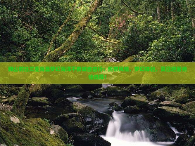 鞍山前往三亚海昌梦幻海洋不夜城自由行 鞍山前往三亚海昌梦幻海洋不夜城自由行