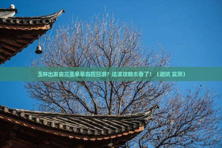 玉林去三亚呆呆岛四日游