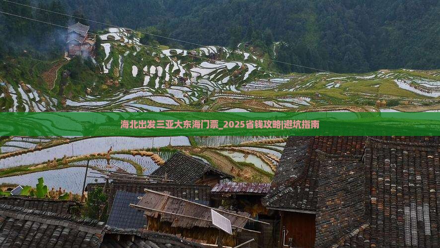 海北出发三亚大东海门票