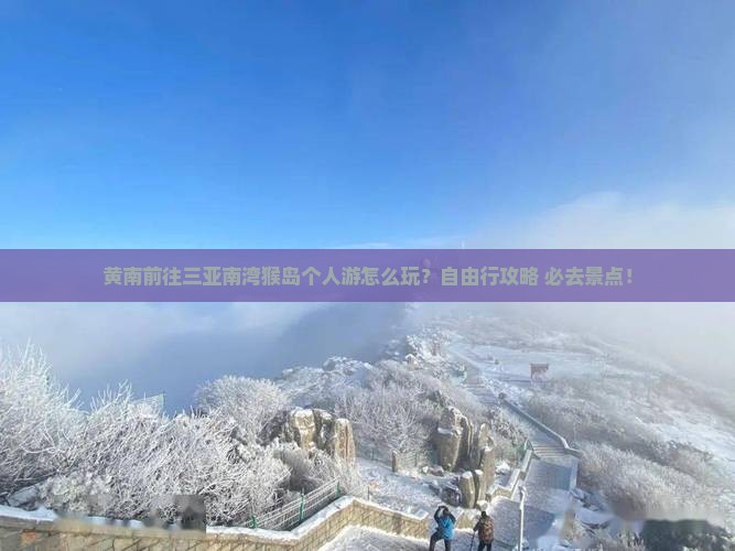 黄南前往三亚南湾猴岛个人游