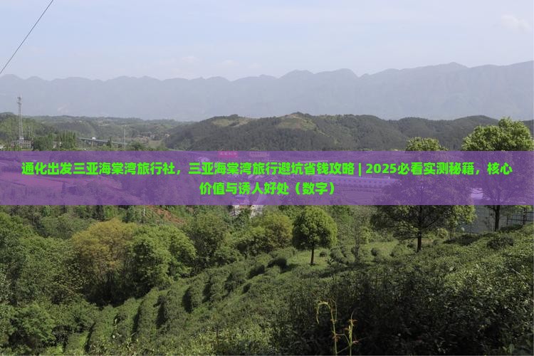 通化出发三亚海棠湾旅行社