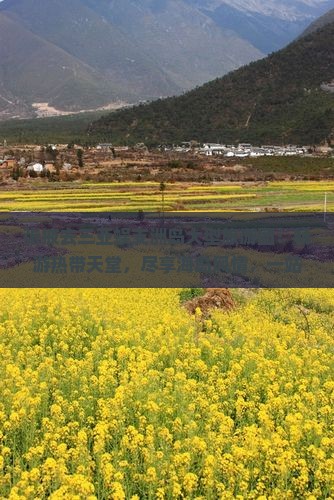 张掖去三亚蜈支洲岛大型旅游团