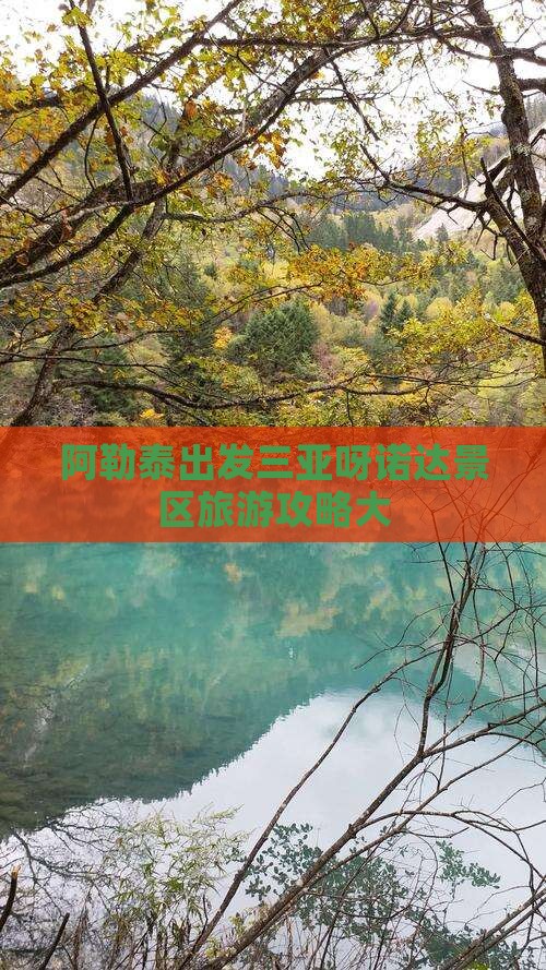 阿勒泰出发三亚呀诺达景区大型旅游团