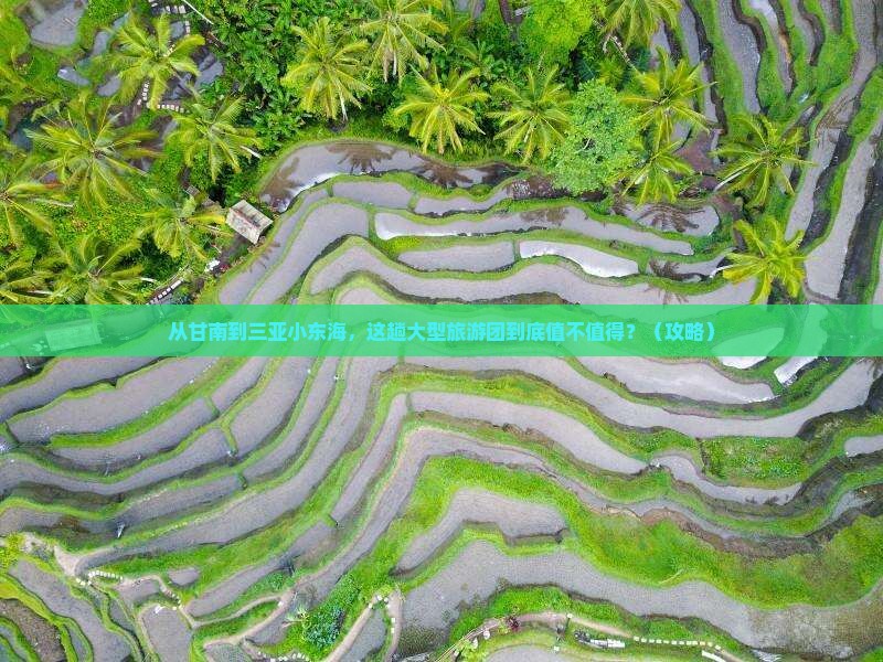 甘南出发三亚小东海大型旅游团