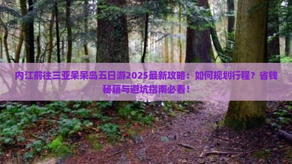 内江前往三亚呆呆岛五日游