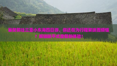 襄樊前往三亚小东海四日游