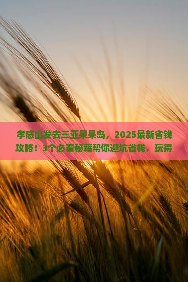 孝感出发三亚呆呆岛门票