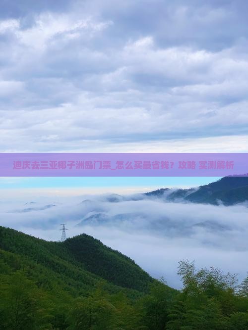 迪庆去三亚椰子洲岛门票