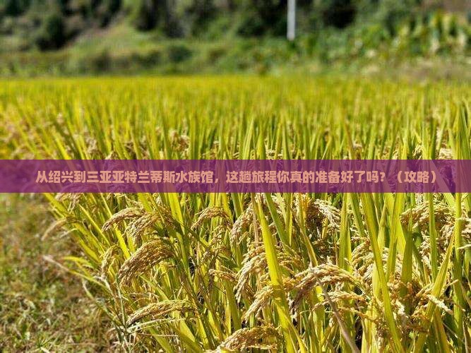 绍兴前往三亚亚特兰蒂斯水族馆旅游