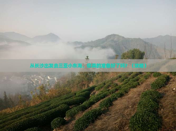 长沙出发三亚小东海旅游