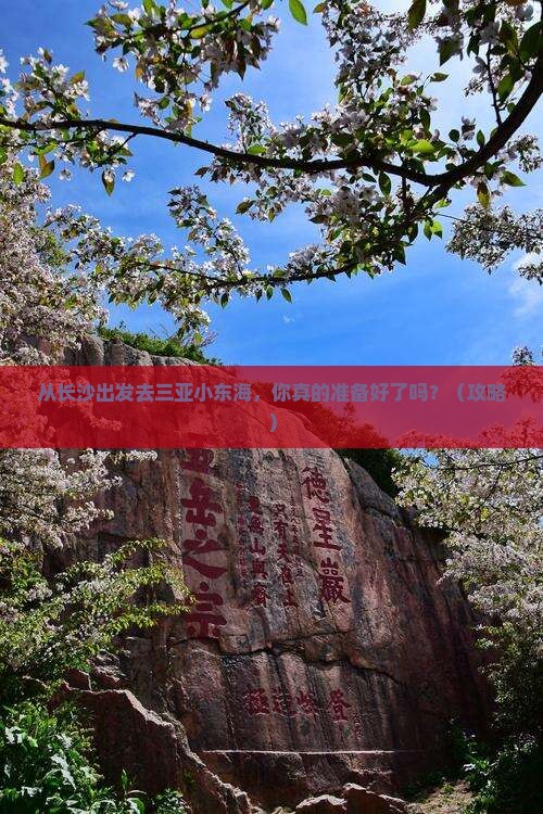 长沙出发三亚小东海旅游