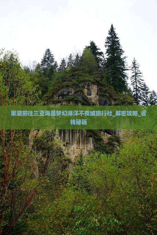 巢湖前往三亚海昌梦幻海洋不夜城旅行社
