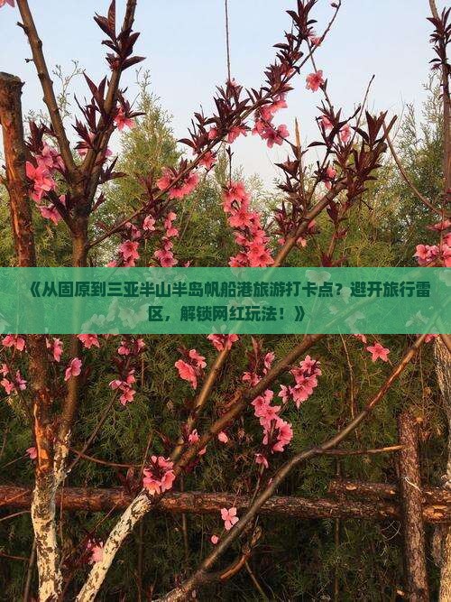 《从固原到三亚半山半岛帆船港旅游打卡点？避开旅行雷区，解锁网红玩法！》