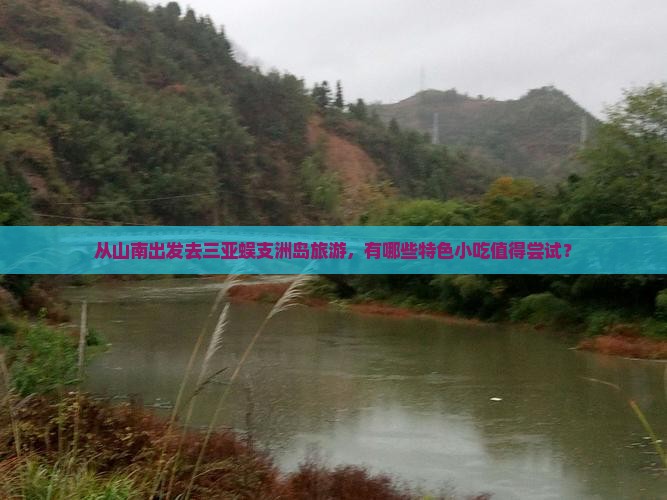 从山南出发去三亚蜈支洲岛旅游，有哪些特色小吃值得尝试？